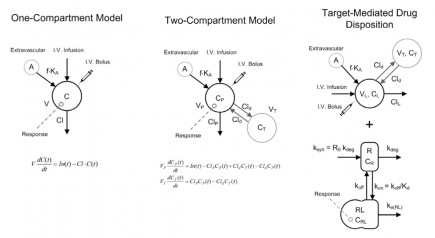 One-compartment model, Two-compartment model and Target-mediated drug disposition.