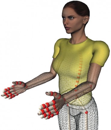 The biomechanical skeleton with manikin meshes from Poser ®.