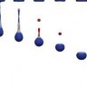 Droplet formation of a mixture of ethylene glycol and water. The filament breaks up and forms a satellite droplet that later coalesces with the main droplet.