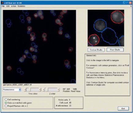 Main window of CellStat for quantitative cell analysis: Here, red-colored cells are cells that contain high local concentrations (presumably the cell nucleus) of the fluorescence protein under study.