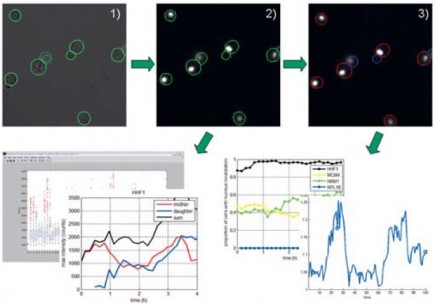 Typical work flow in image analysis where one goes from various pixelwise operations such as filtering and thresholding, to successively more complex operations which incorporates modeling of the objects of interest.